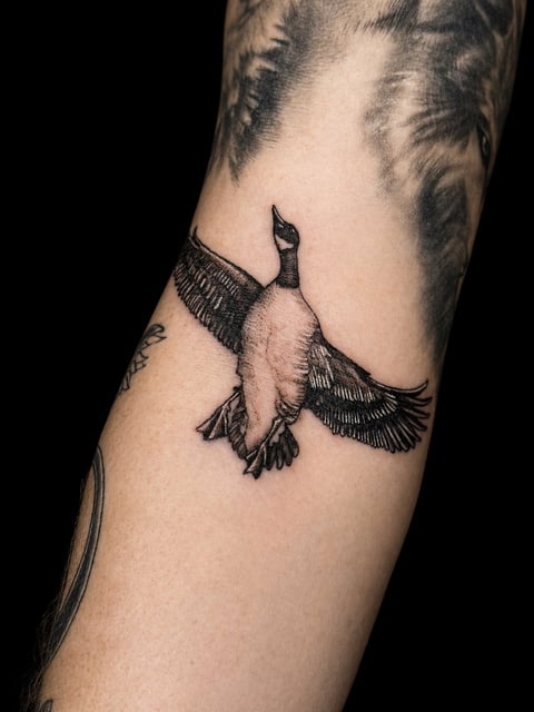 Black and grey tattoo of a flying bird with detailed wings on an arm, shown against a black background